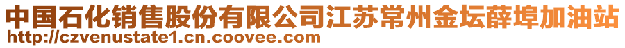 中國(guó)石化銷售股份有限公司江蘇常州金壇薛埠加油站