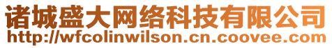 諸城盛大網絡科技有限公司