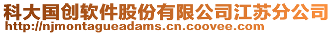 科大國創(chuàng)軟件股份有限公司江蘇分公司