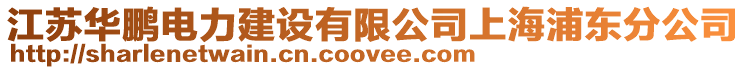 江蘇華鵬電力建設(shè)有限公司上海浦東分公司