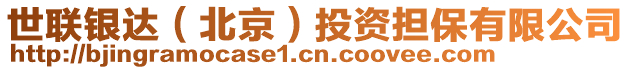 世聯銀達(北京)投資擔保有限公司