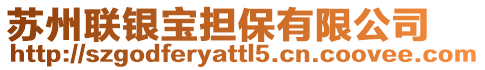 蘇州聯(lián)銀寶擔(dān)保有限公司