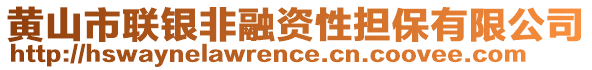 黃山市聯(lián)銀非融資性擔保有限公司