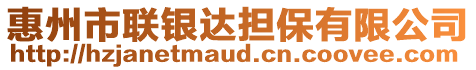 惠州市聯(lián)銀達擔保有限公司