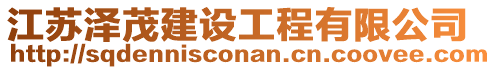 江蘇澤茂建設(shè)工程有限公司