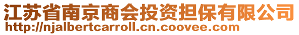 江蘇省南京商會(huì)投資擔(dān)保有限公司