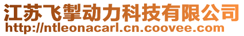 江蘇飛掣動力科技有限公司