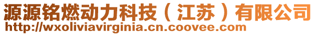 源源銘燃動(dòng)力科技（江蘇）有限公司