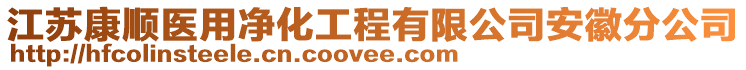 江蘇康順醫(yī)用凈化工程有限公司安徽分公司