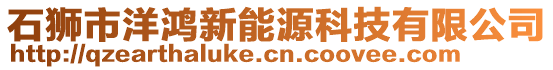 石獅市洋鴻新能源科技有限公司