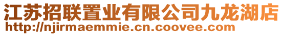 江蘇招聯(lián)置業(yè)有限公司九龍湖店