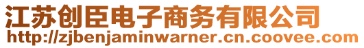 江蘇創(chuàng)臣電子商務(wù)有限公司