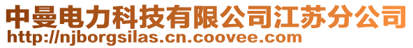 中曼電力科技有限公司江蘇分公司