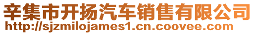 辛集市開揚(yáng)汽車銷售有限公司