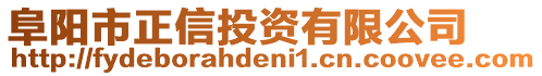 阜陽市正信投資有限公司