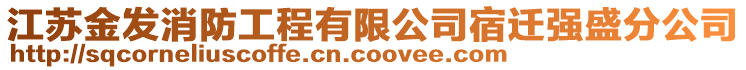 江蘇金發(fā)消防工程有限公司宿遷強(qiáng)盛分公司