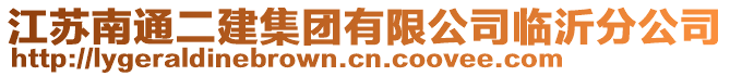 江蘇南通二建集團有限公司臨沂分公司