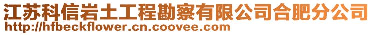 江蘇科信巖土工程勘察有限公司合肥分公司