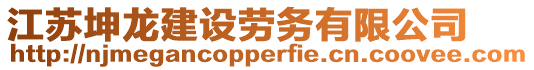 江蘇坤龍建設勞務有限公司