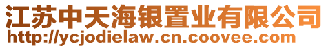 江蘇中天海銀置業(yè)有限公司
