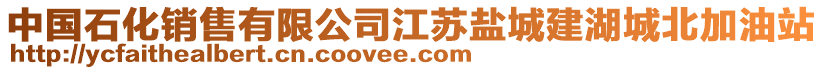 中國(guó)石化銷(xiāo)售有限公司江蘇鹽城建湖城北加油站