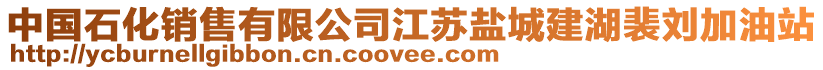 中國石化銷售有限公司江蘇鹽城建湖裴劉加油站