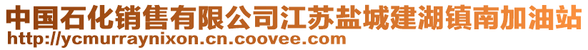 中國石化銷售有限公司江蘇鹽城建湖鎮(zhèn)南加油站