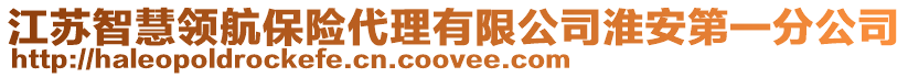 江蘇智慧領(lǐng)航保險(xiǎn)代理有限公司淮安第一分公司