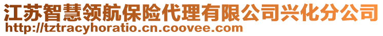 江蘇智慧領(lǐng)航保險(xiǎn)代理有限公司興化分公司