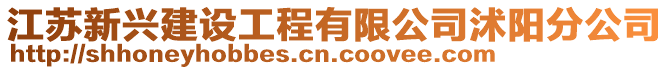 江蘇新興建設工程有限公司沭陽分公司