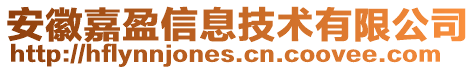 安徽嘉盈信息技術(shù)有限公司