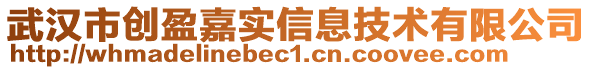 武漢市創(chuàng)盈嘉實信息技術(shù)有限公司