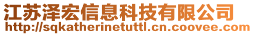 江蘇澤宏信息科技有限公司