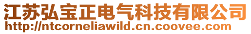 江蘇弘寶正電氣科技有限公司