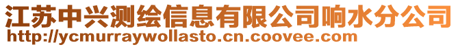 江蘇中興測繪信息有限公司響水分公司