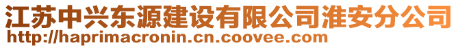 江蘇中興東源建設(shè)有限公司淮安分公司