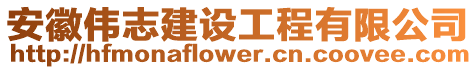 安徽偉志建設工程有限公司