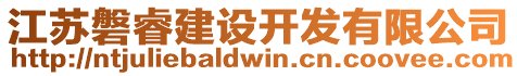 江蘇磐睿建設(shè)開(kāi)發(fā)有限公司