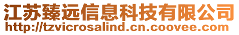 江蘇臻遠信息科技有限公司