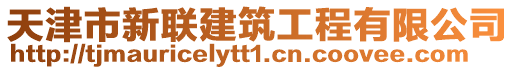 天津市新聯(lián)建筑工程有限公司