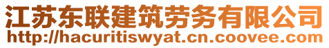 江蘇東聯(lián)建筑勞務(wù)有限公司