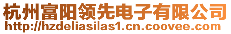 杭州富陽(yáng)領(lǐng)先電子有限公司