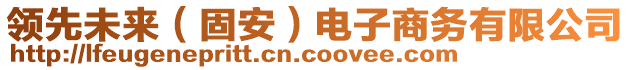 領(lǐng)先未來（固安）電子商務(wù)有限公司