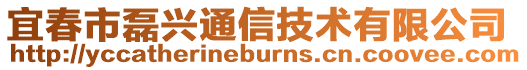 宜春市磊興通信技術(shù)有限公司