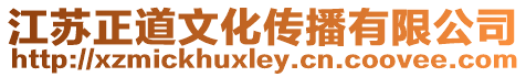 江蘇正道文化傳播有限公司