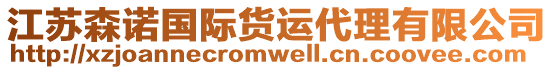 江蘇森諾國際貨運(yùn)代理有限公司