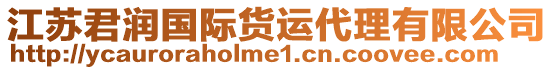 江蘇君潤國際貨運(yùn)代理有限公司
