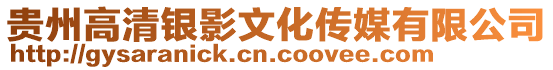 貴州高清銀影文化傳媒有限公司