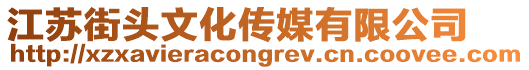 江蘇街頭文化傳媒有限公司