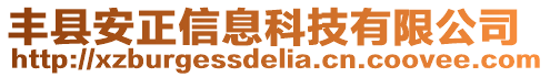 豐縣安正信息科技有限公司